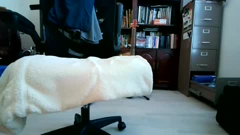 mrredbush online show from August 17, 4:45 pm
