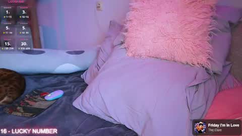 Allison online show from July 30, 7:05 am