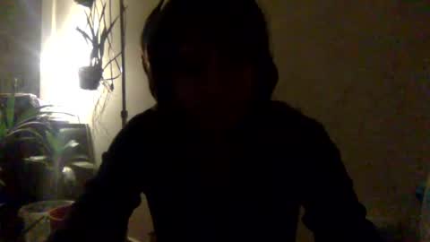   online show from August 2, 4:41 am