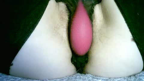 my_tightholes online show from August 12, 8:44 pm