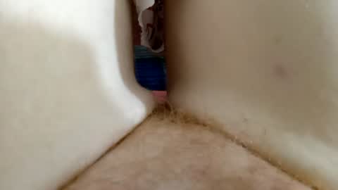 Kitty online show from August 13, 1:08 am