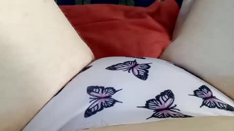 Kitty online show from August 13, 12:30 pm