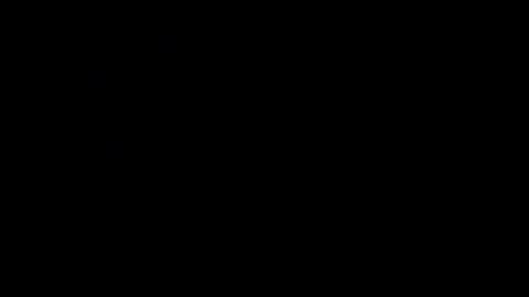 n74862 online show from August 14, 2:37 am