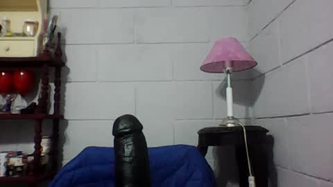 nachorj online show from August 6, 12:31 am