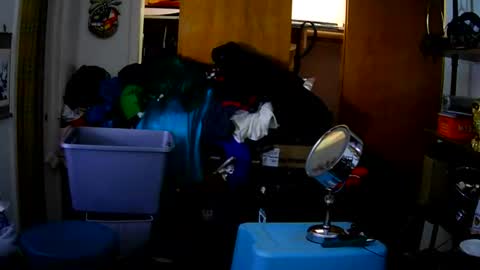 Nadya nextdoor online show from September 5, 10:42 am