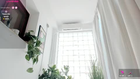 Naila online show from August 10, 10:16 am