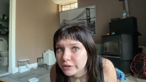     online show from August 5, 2:37 pm