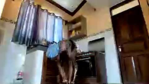 naughty_choco online show from August 13, 10:18 am