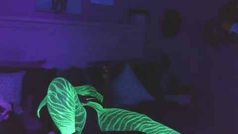 Naughtycouple2026 online show from August 6, 12:31 am