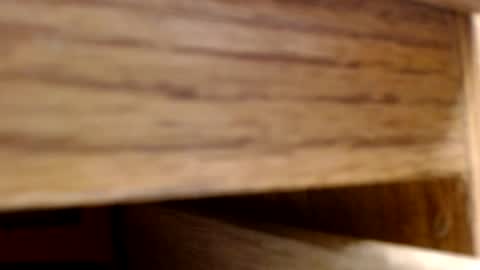 suck it online show from July 23, 7:16 pm