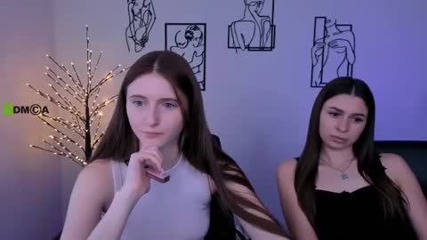 Meow online show from August 3, 12:34 pm