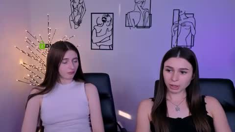 Meow online show from August 3, 3:52 pm