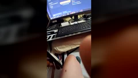 Nelbourne online show from July 15, 10:16 am