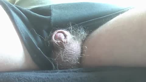 neohiom4f online show from July 23, 1:24 pm