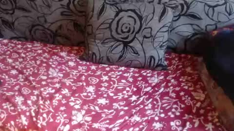 Lilly  online show from August 10, 1:23 pm