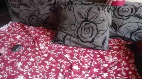 Lilly  online show from August 15, 8:40 am