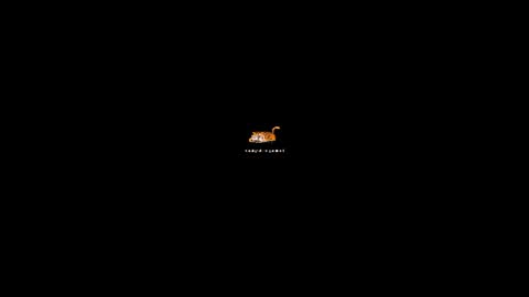 niblet online show from August 14, 10:57 pm