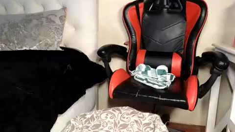 Lilly online show from September 1, 6:14 am