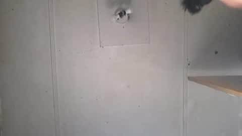 nicholasdewson4 online show from May 16, 8:31 pm