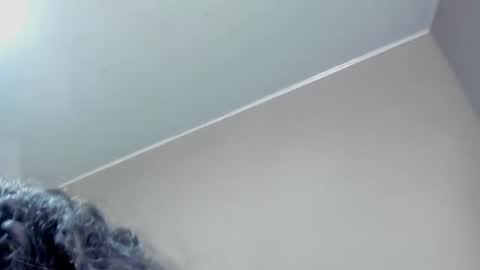 nicohillx online show from August 7, 12:21 am