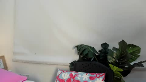 nicolle_evanss_ online show from August 15, 6:06 am