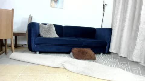 Nicolle Lima online show from June 15, 1:58 am
