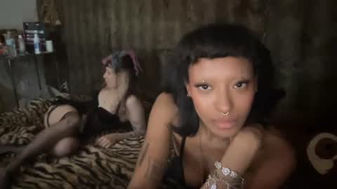 roxxxi online show from August 11, 5:31 am