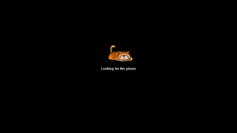 Ninfo Puta online show from July 23, 11:45 am
