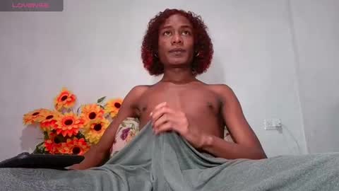 Noah Millers 7 online show from August 15, 1:48 pm
