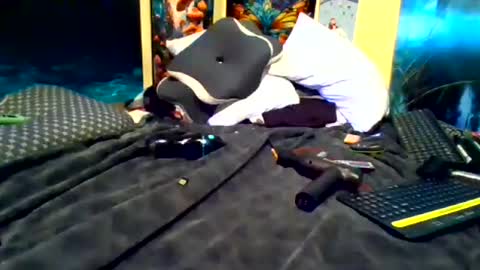 IBangChainz online show from July 21, 4:31 pm