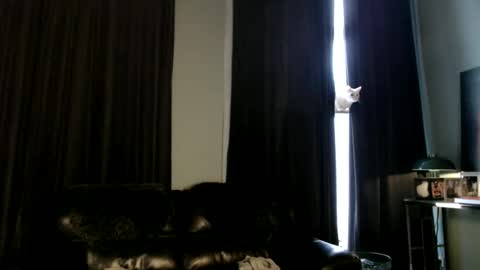 Im here enjoy online show from April 12, 6:03 am