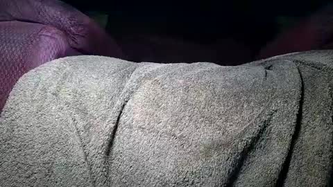 nottoobored online show from August 1, 4:51 am