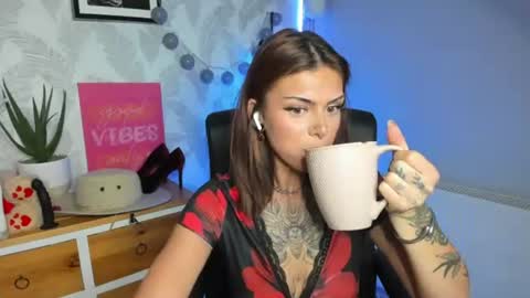 Nova online show from August 13, 8:17 am