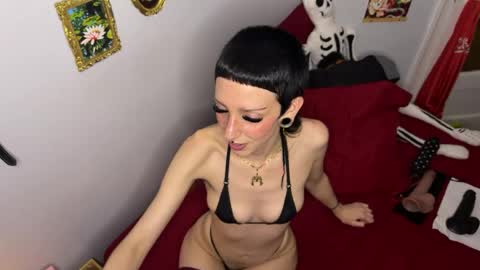Nymphaea online show from July 12, 12:39 am