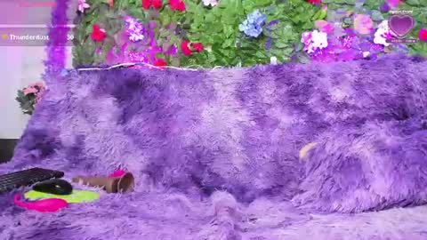 Nyra online show from August 11, 8:27 am