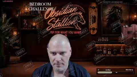 Obsidian stallion online show from August 14, 9:35 am