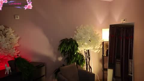 ocerialus online show from August 15, 4:44 pm