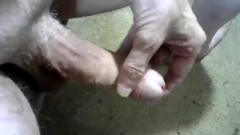 odentonman4fun online show from August 17, 3:44 am