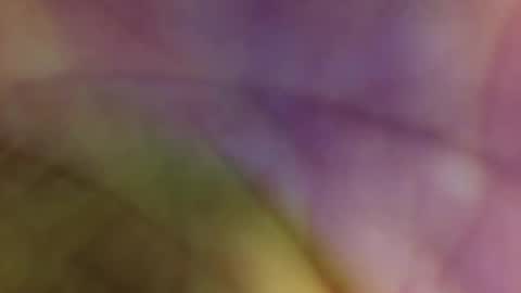 Odin Stone online show from April 14, 6:37 pm