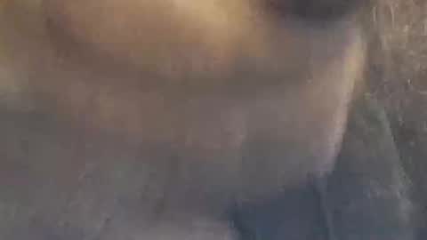 oldmanhorny19 online show from May 1, 2:32 pm