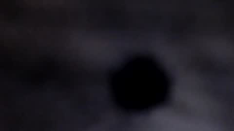 oliver_laid_2023 online show from August 11, 9:06 pm