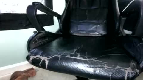DaBestDaddy online show from August 1, 5:19 pm