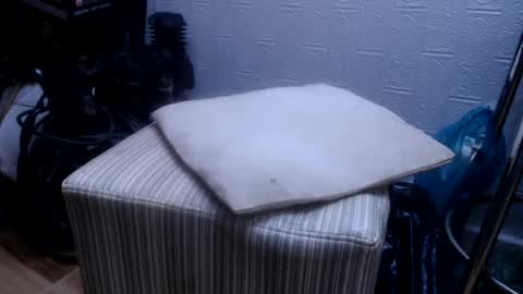 oly10022020 online show from September 2, 3:03 pm