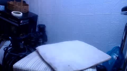 oly10022020 online show from September 2, 4:09 pm