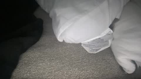 onceupon_aslut online show from June 24, 11:51 pm