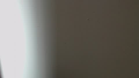 oneboy1x1 online show from July 20, 1:36 pm