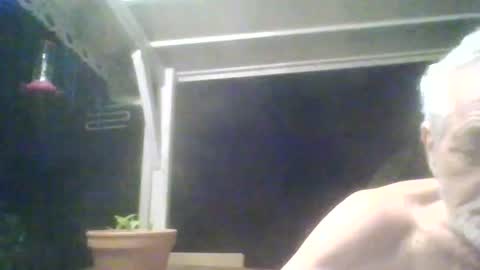 optimus590 online show from August 2, 2:29 am