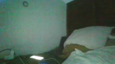 optimus590 online show from August 11, 11:29 pm