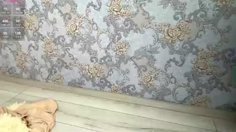 Yesenia online show from August 13, 9:34 am