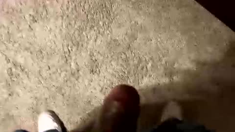palote_69 online show from July 17, 3:06 am